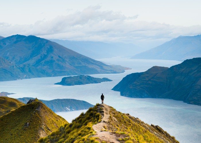 Adobe Stock_New Zealand New Zealand Branch