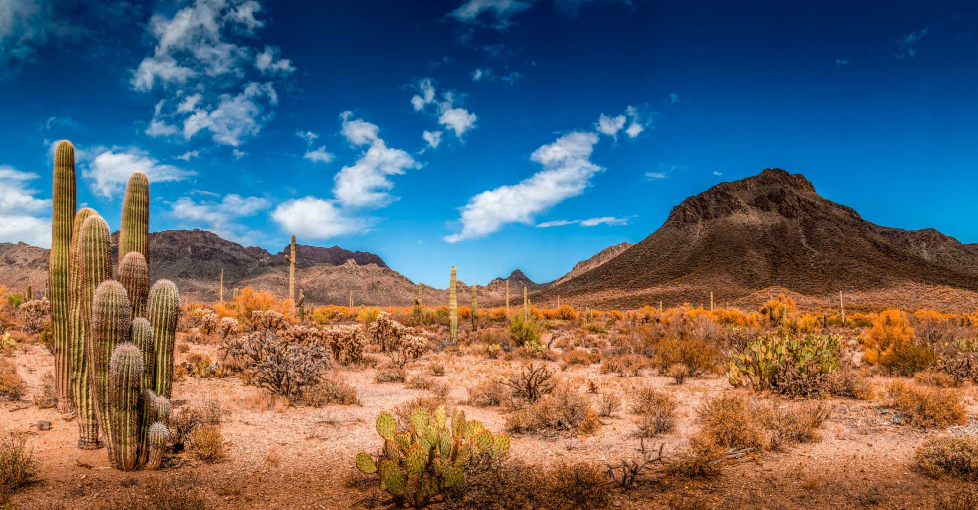 Arizona_AdobeStock_82951592