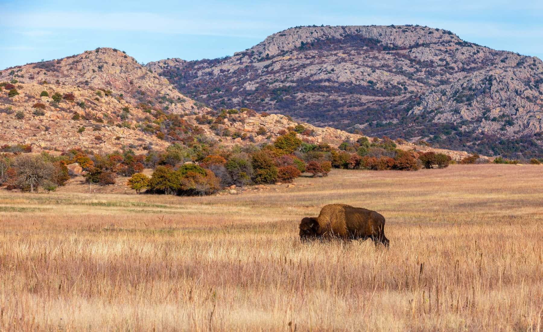 Oklahoma AdobeStock_231793189