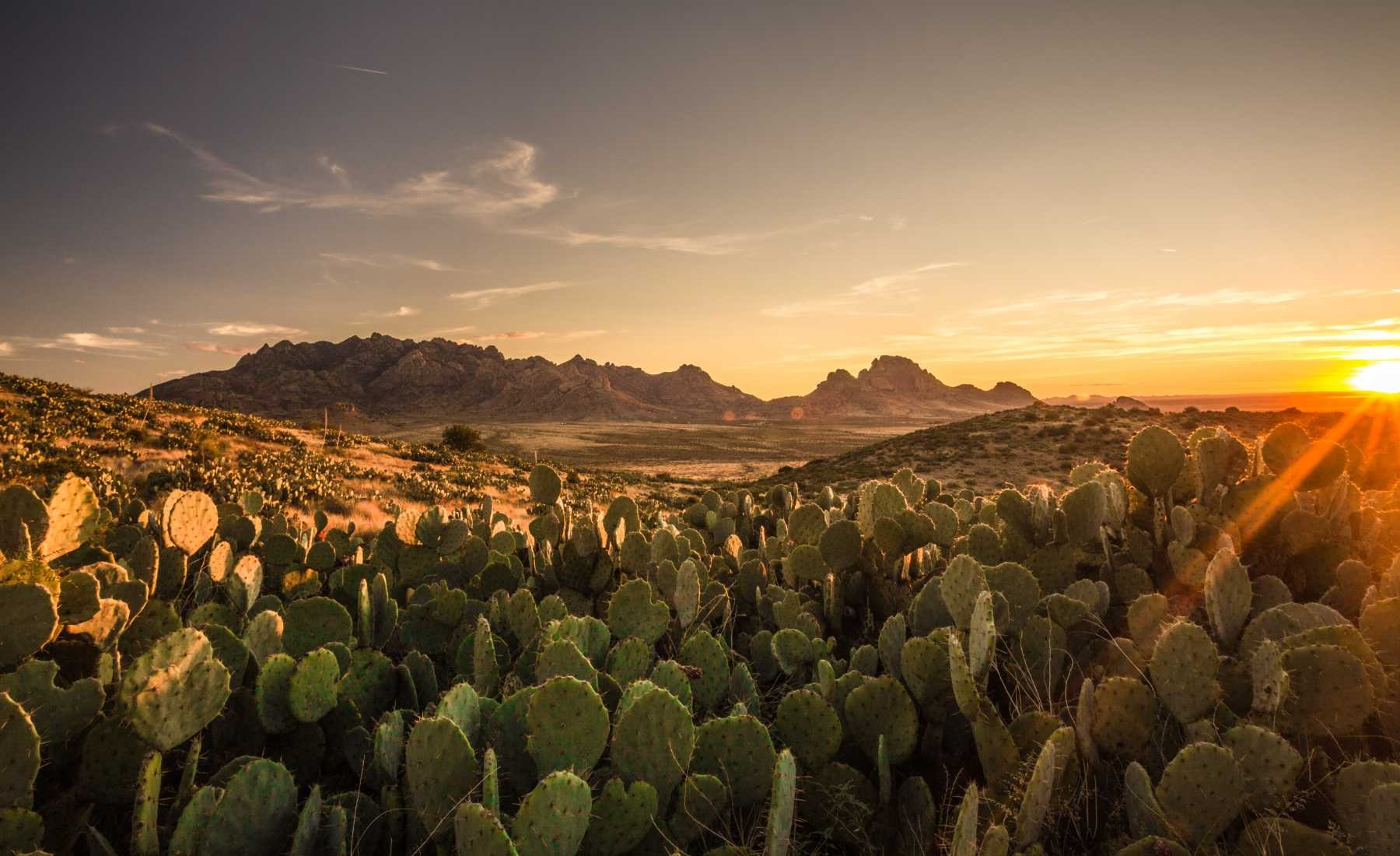 New Mexico AdobeStock_600913365