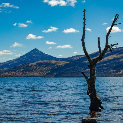 RannochSchiehallion_AdobeStock_233375482 (1)