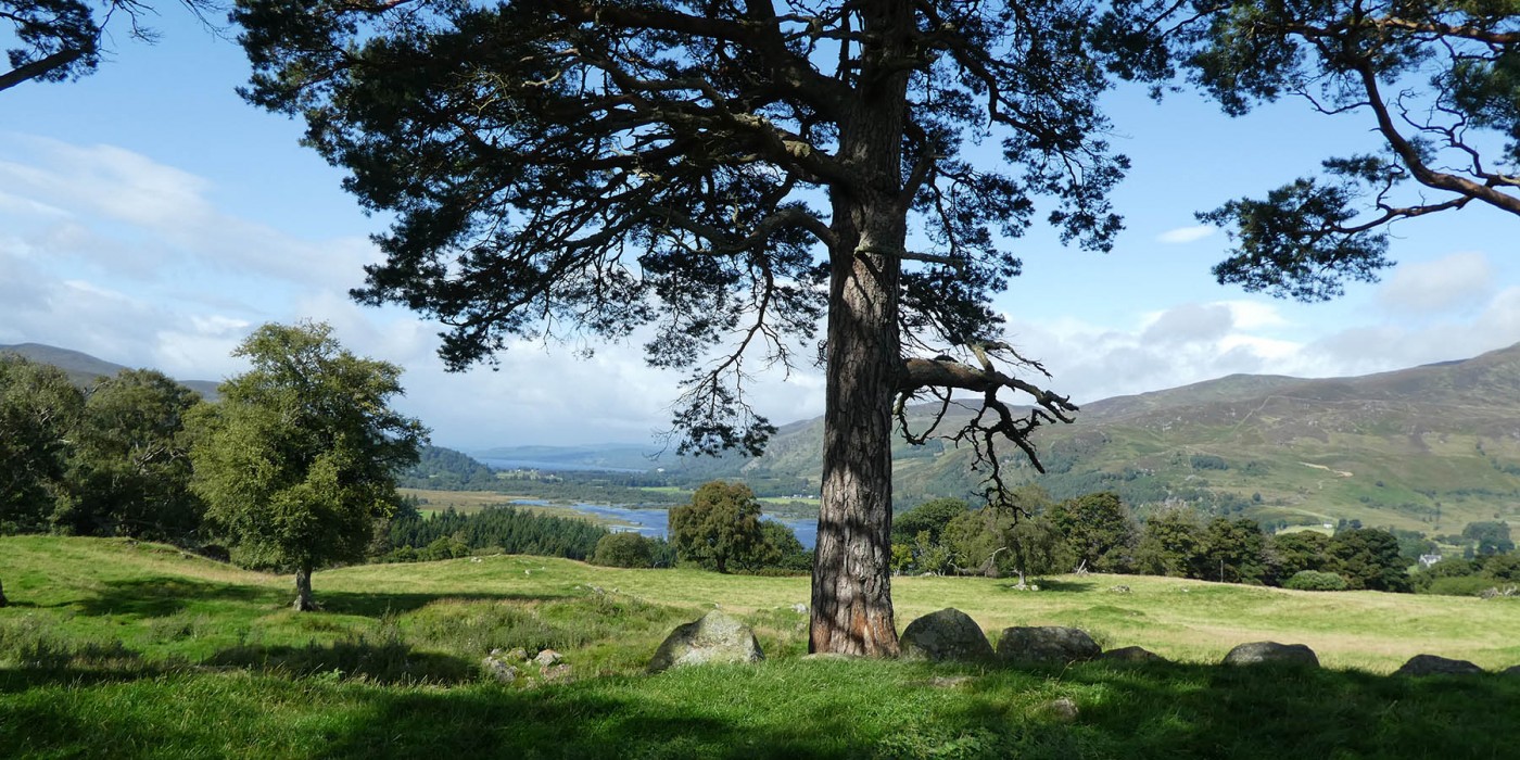 View towards Dunalastair_2000