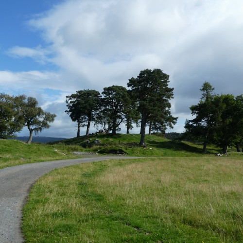 Craigh na Dun - for upload onto CD website